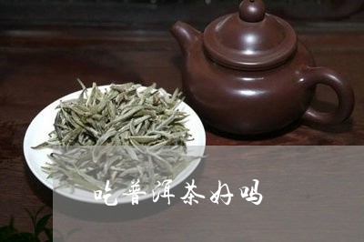 吃普洱茶好吗/2023042610951