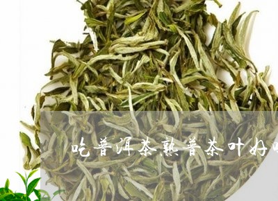 吃普洱茶熟普茶叶好吗/2023062964380