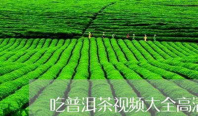 吃普洱茶视频大全高清版/2023050785150