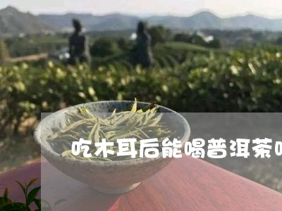 吃木耳后能喝普洱茶吗/2023093000613