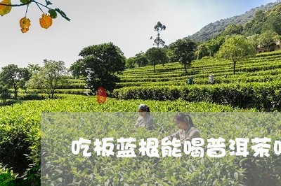 吃板蓝根能喝普洱茶吗/2023062129713