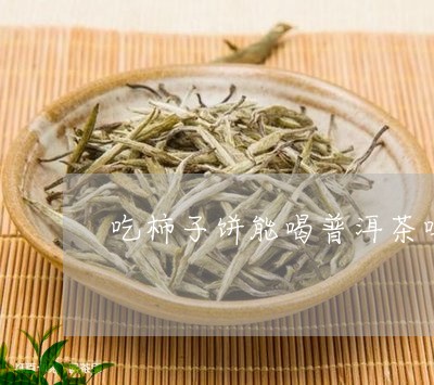 吃柿子饼能喝普洱茶吗/2023092969370