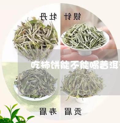 吃柿饼能不能喝普洱茶/2023092739284