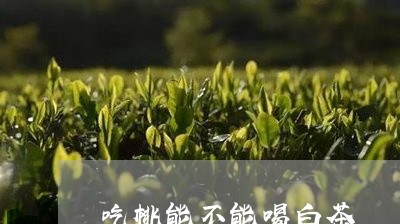 吃桃能不能喝白茶/2023061502250