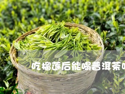 吃榴莲后能喝普洱茶吗/2023061883947