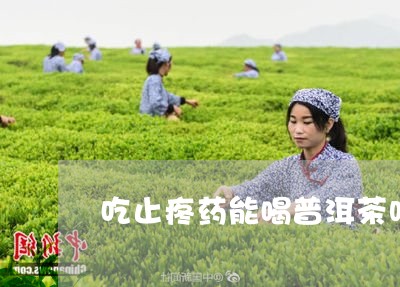 吃止疼药能喝普洱茶吗/2023092881627