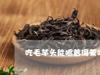 吃毛芋头能喝普洱茶吗/2023092807279