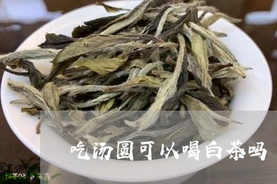 吃汤圆可以喝白茶吗/2023071639372