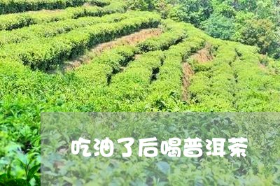 吃油了后喝普洱茶/2023120455038