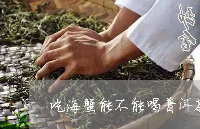 吃海蟹能不能喝普洱茶/2023093027161