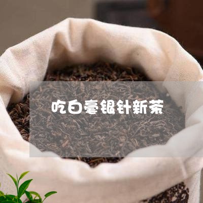 吃白毫银针新茶/2023112463714