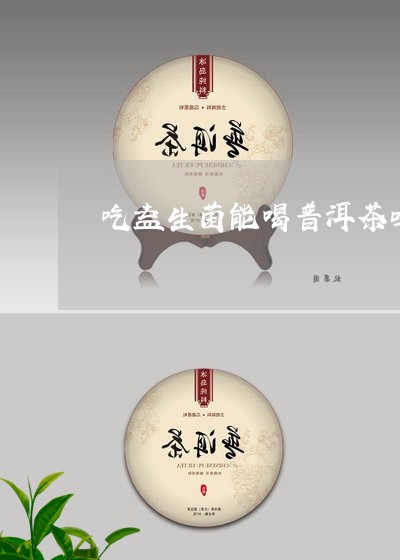 吃益生菌能喝普洱茶吗/2023062412634