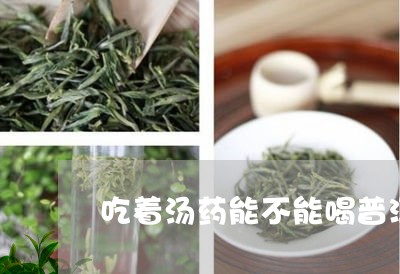 吃着汤药能不能喝普洱茶/2023103187504