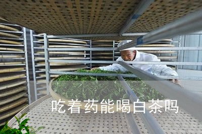 吃着药能喝白茶吗/2023061368482