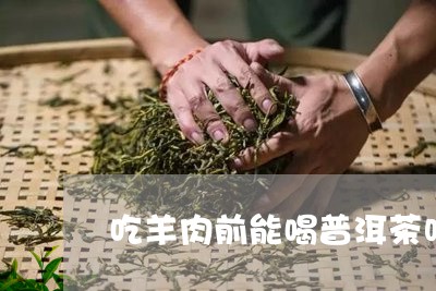 吃羊肉前能喝普洱茶吗/2023061784737