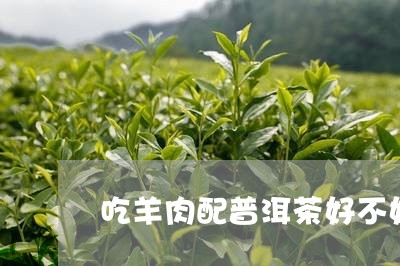 吃羊肉配普洱茶好不好喝/2023112723625