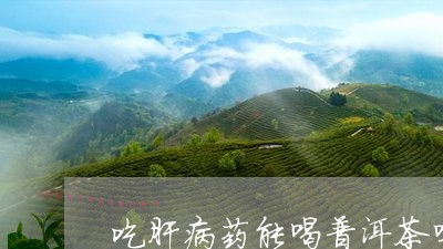 吃肝病药能喝普洱茶吗/2023061603693