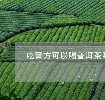 吃膏方可以喝普洱茶吗/2023092738379