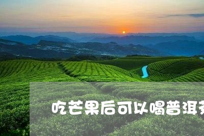 吃芒果后可以喝普洱茶吗/2023082782036