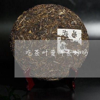 吃茶叶普洱茶好吗/2023121529583