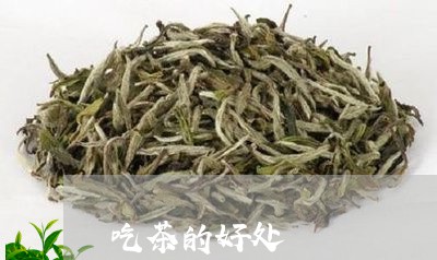 吃茶的好处/2023090205262