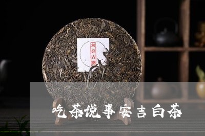 吃茶说事安吉白茶/2023061375160