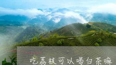 吃荔枝可以喝白茶嘛/2023071525270