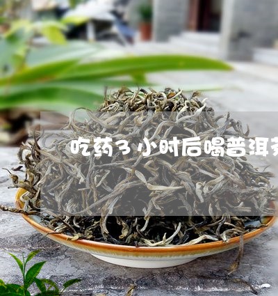 吃药3小时后喝普洱茶/2023092877272