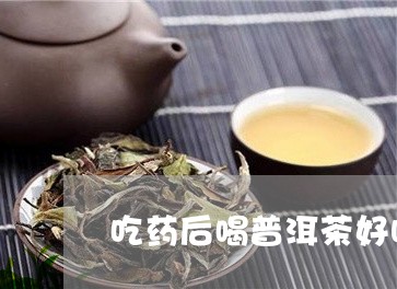 吃药后喝普洱茶好吗女生/2023103192735