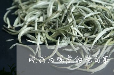 吃药后喝煮的老白茶/2023121714727