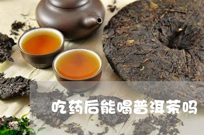 吃药后能喝普洱茶吗/2023091553805