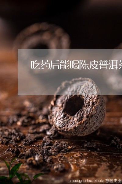 吃药后能喝陈皮普洱茶吗/2023110176349