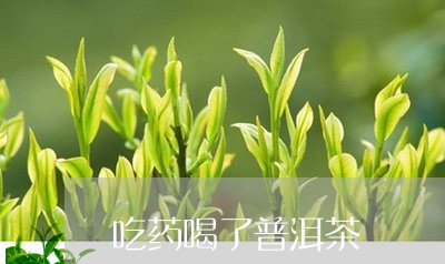 吃药喝了普洱茶/2023081537273