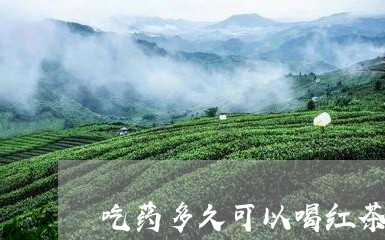 吃药多久可以喝红茶吗/2023071413795