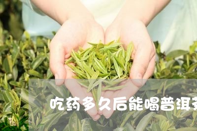 吃药多久后能喝普洱茶/2023062392615