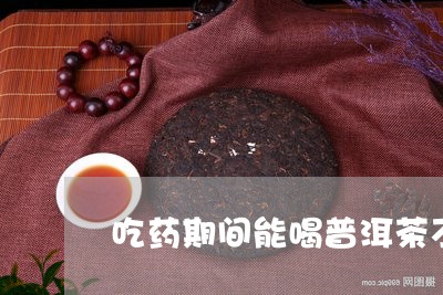 吃药期间能喝普洱茶不/2023092993836