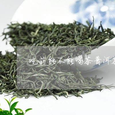 吃药能不能喝茶普洱茶/2023092995151