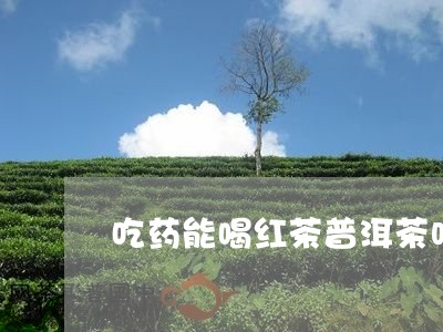 吃药能喝红茶普洱茶吗/2023062358703