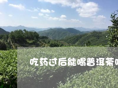 吃药过后能喝普洱茶吗/2023062403926