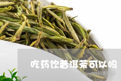 吃药饮普洱茶可以吗/2023091551709