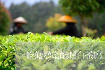 吃菠萝蜜能喝白茶吗/2023081329482