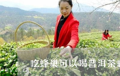 吃蜂巢可以喝普洱茶嘛/2023062992927