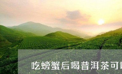 吃螃蟹后喝普洱茶可以/2023062327249