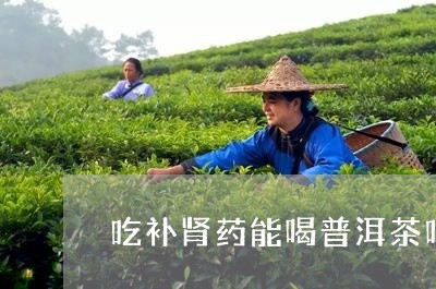 吃补肾药能喝普洱茶吗/2023062182925