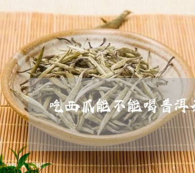 吃西瓜能不能喝普洱茶/2023072310613