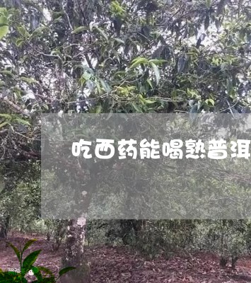 吃西药能喝熟普洱茶吗/2023072154826