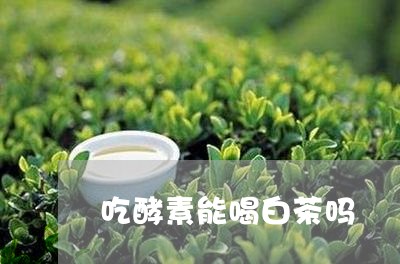 吃酵素能喝白茶吗/2023061327583