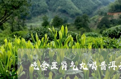 吃金匮肾气丸喝普洱茶/2023093068361