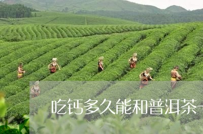 吃钙多久能和普洱茶一起泡/2023112498793