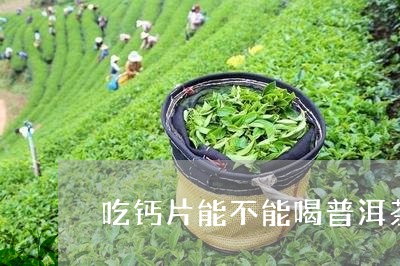 吃钙片能不能喝普洱茶/2023061924061